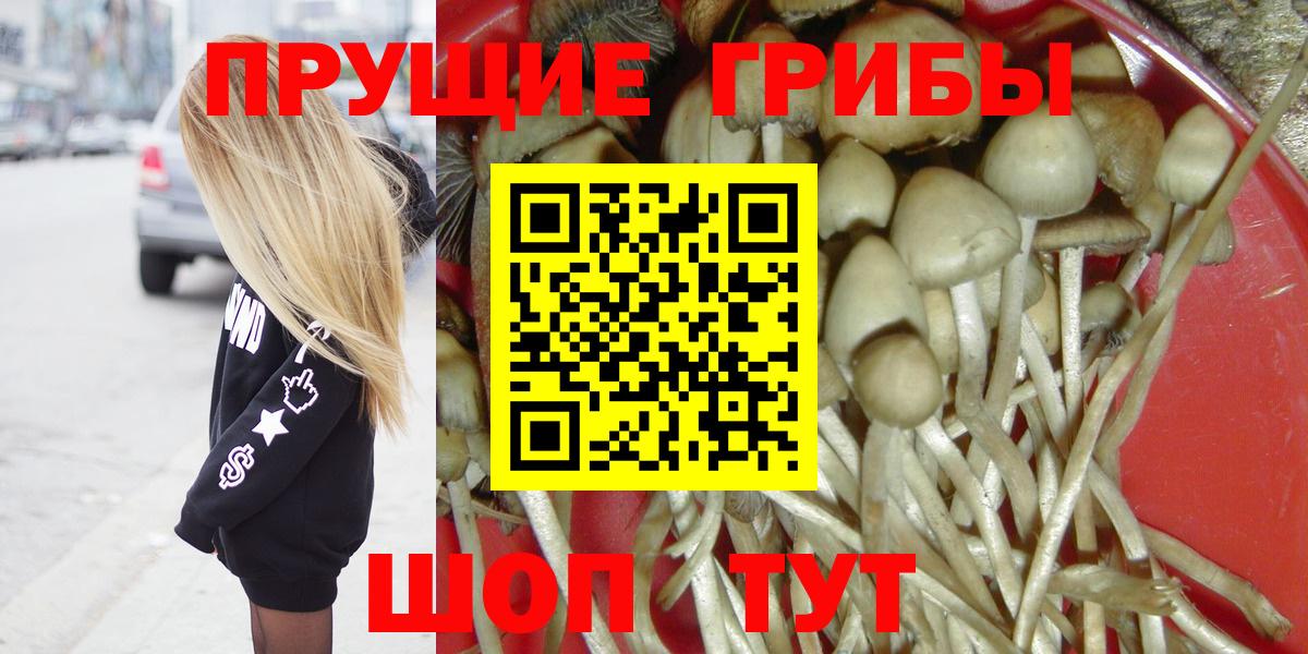 Изобильный  Псилоцибиновые грибы MAGIC MUSHROOMS  Вход с VPN 